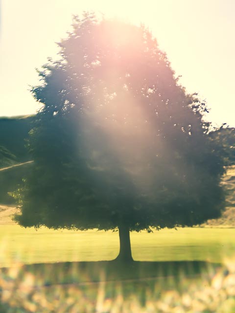Freelensing gallery - Image 21