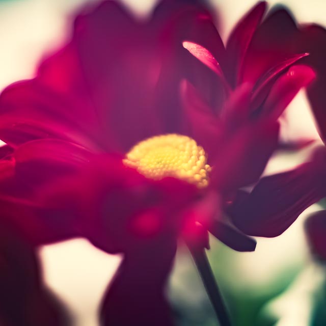 Freelensing gallery - Image 4
