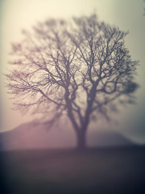 Freelensing gallery - Image 7