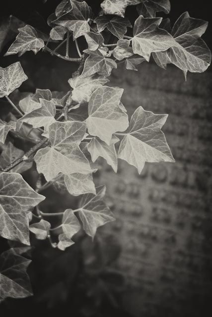 Lens experiment 15