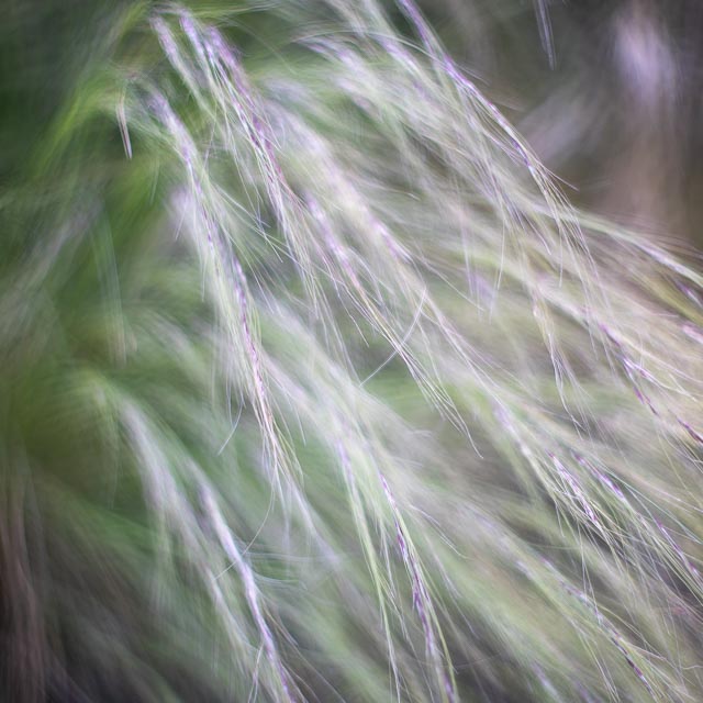 Lens experiment 14