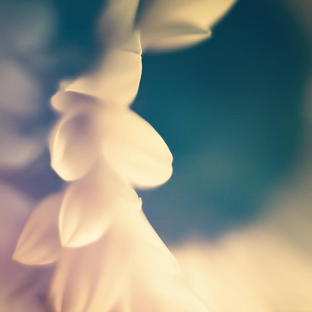 Lens experiment 13