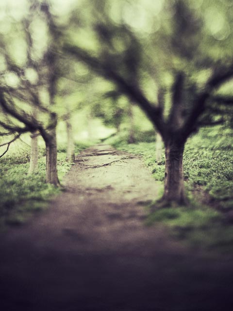 Lens experiment 10