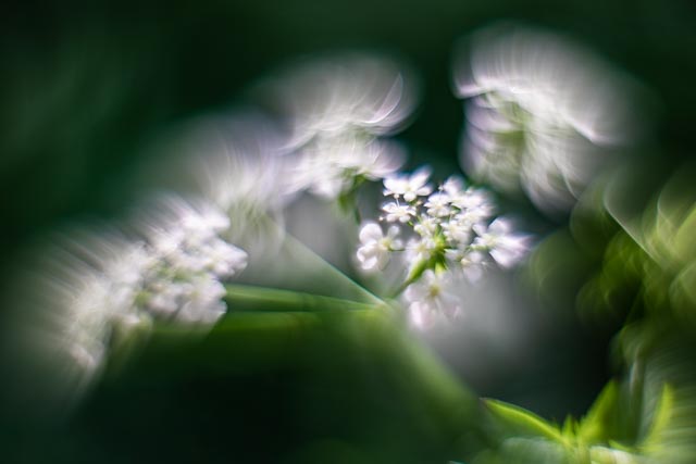 Lens experiment 7