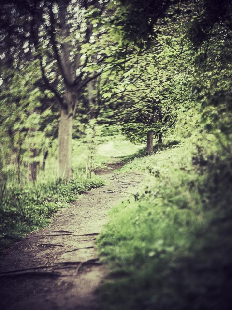 Helios lensbaby gallery 10