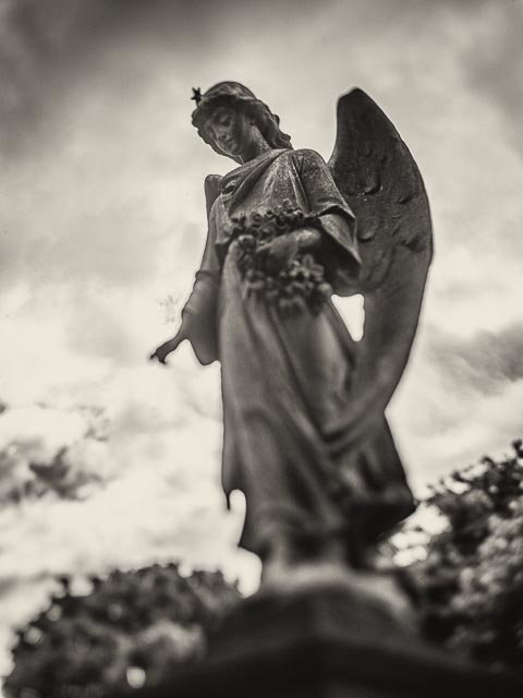 Helios lensbaby gallery 20