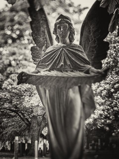 Helios lensbaby gallery 17