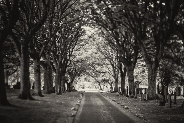 Helios lensbaby gallery 19