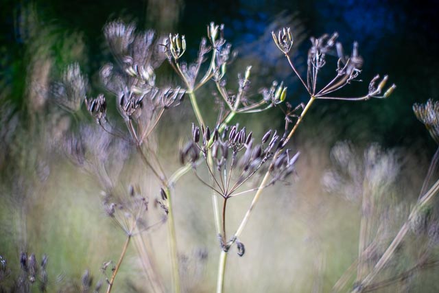 Bokeh modifers - Image 2 (with sink drainer modifier)