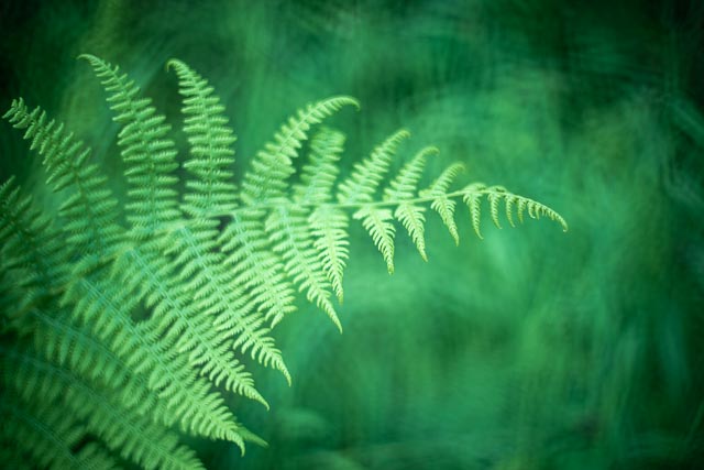 Bokeh modifers - Image 10 (with sink drainer modifier)