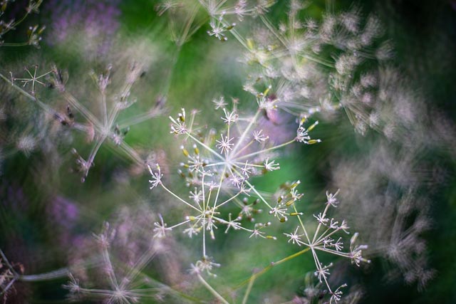 Bokeh modifers - Image 6 (with sink drainer modifier)