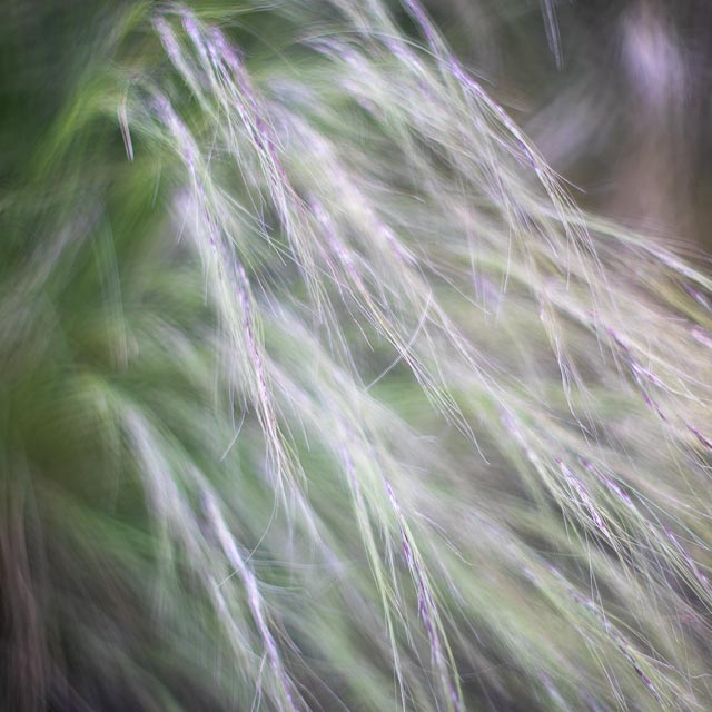 Bokeh modifers - Image 12 (with sink drainer modifier)