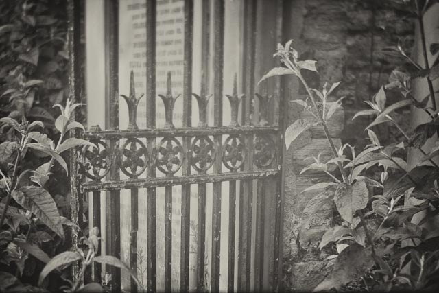 Using a 100 year old lens from a Kodak Folding Brownie gallery - Image 6
