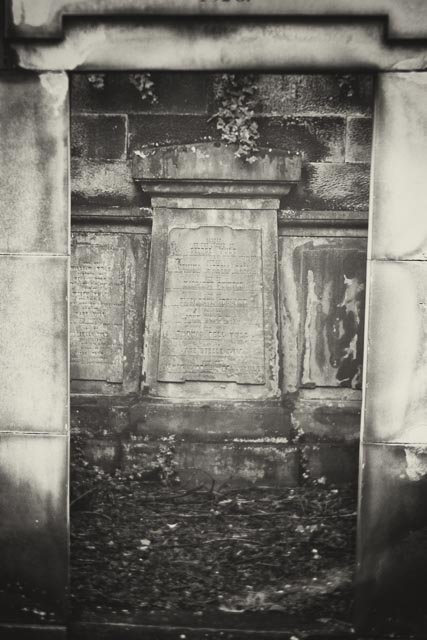 Using a 100 year old lens from a Kodak Folding Brownie gallery - Image 5