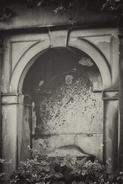 Using a 100 year old lens from a Kodak Folding Brownie gallery - Image 1