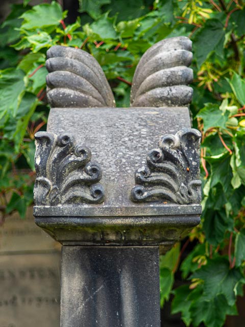 D mount cine lens gallery - Image 22