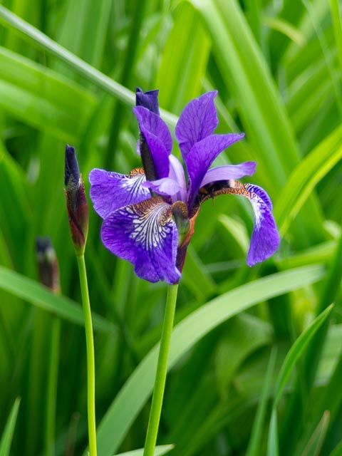 D mount cine lens gallery - Image 24