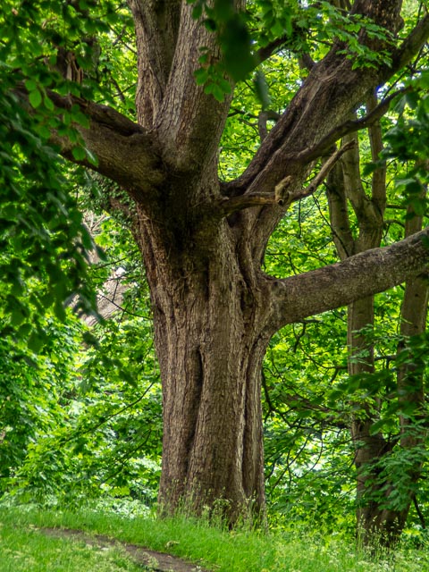 D mount cine lens gallery - Image 26