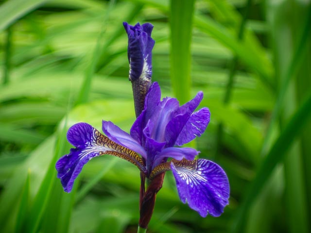 D mount cine lens gallery - Image 36