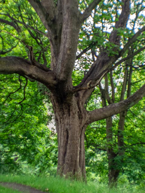 D mount cine lens gallery - Image 28