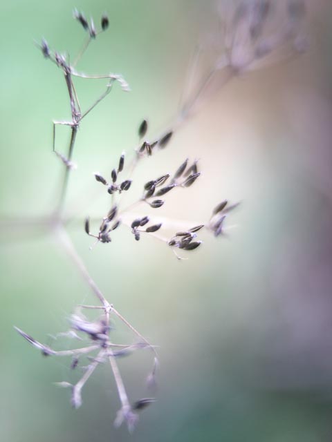 Bell & Howell 51mm f/1.2 gallery - Image 9