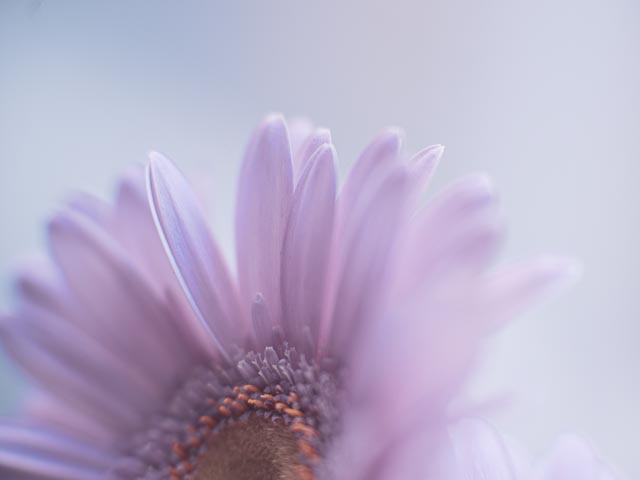Isco-Optic Ultra-Star HD 90mm f/2 MC gallery - Image 2