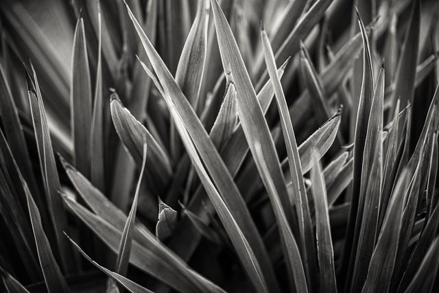 Isco-Optic Ultra-Star HD 90mm f/2 MC gallery - Image 16