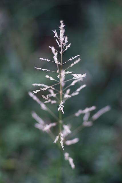 Isco-Optic Ultra-Star HD 90mm f/2 MC gallery - Image 29