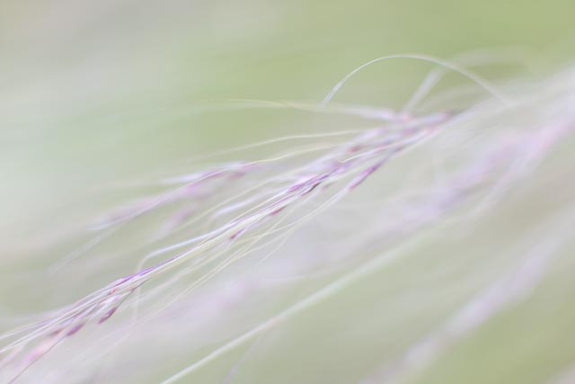Isco-Optic Ultra-Star HD 90mm f/2 MC gallery - Image 32