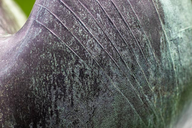 Turn a slide projector lens into a macro lens gallery - Image 13