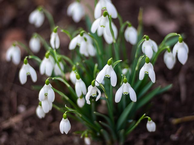 Isco-Optic V/S-Projar 90mm f/2.4 MC gallery - Image 11