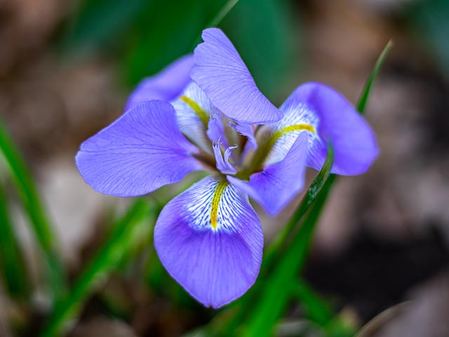 Isco-Optic V/S-Projar 90mm f/2.4 MC gallery - Image 12