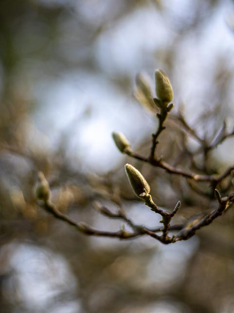 Isco-Optic V/S-Projar 90mm f/2.4 MC gallery - Image 15