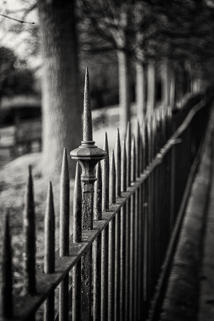 Nipole 80mm f/3.5 gallery - Image 3