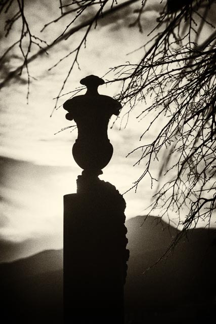 Nipole 80mm f/3.5 gallery - Image 9
