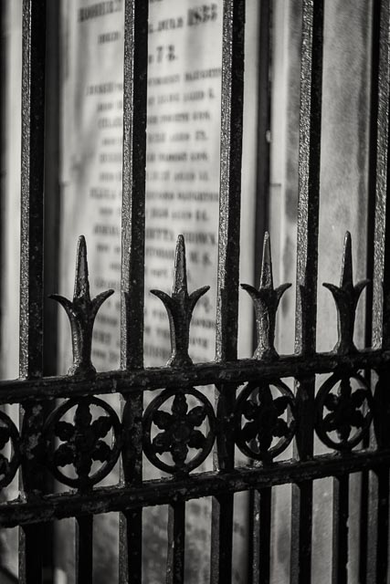 Nipole 80mm f/3.5 gallery - Image 5