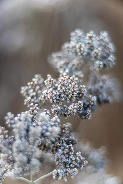 Photostream image 182