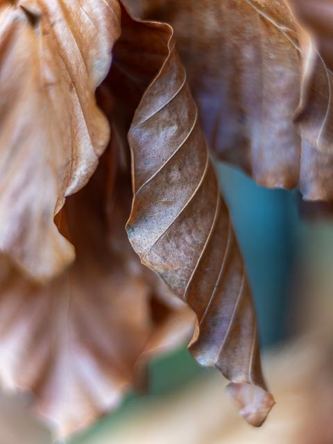 Photostream image 180