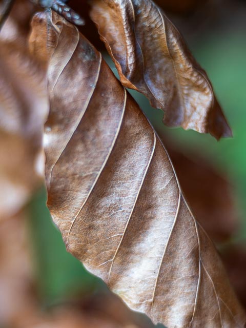 Photostream image 179