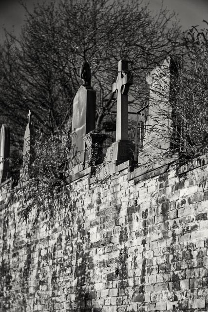 Photostream image 178