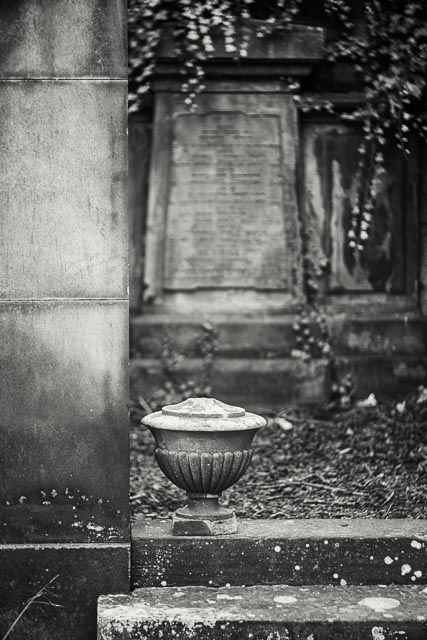 Photostream image 175