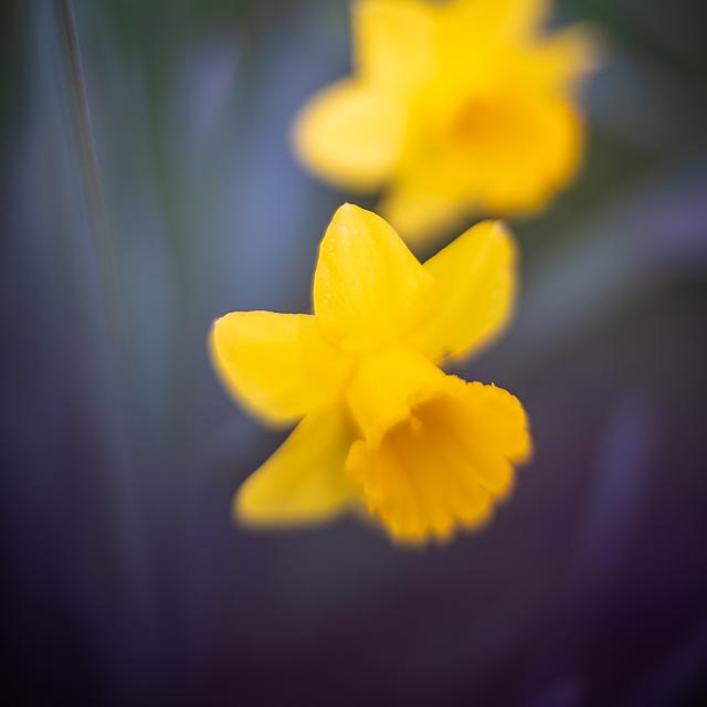 Photostream image 145