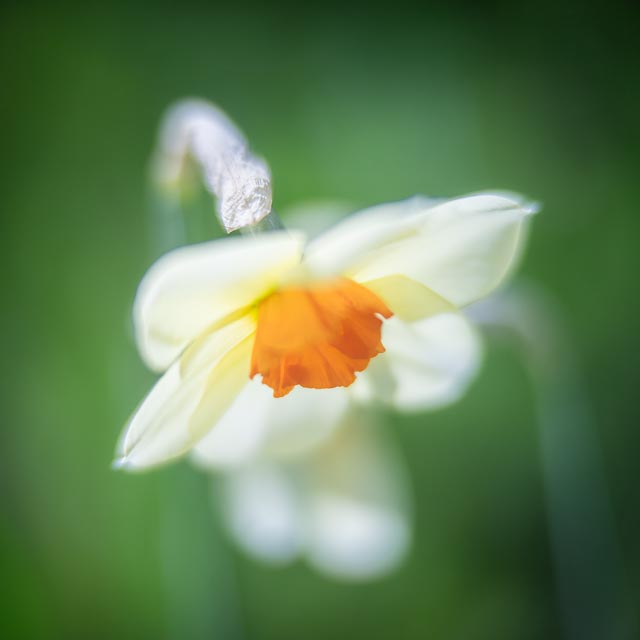 Photostream image 144