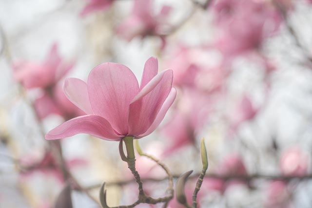Photostream image 143