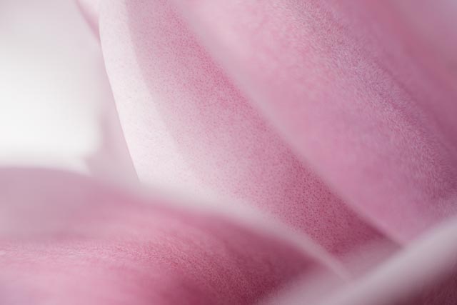 Photostream image 142
