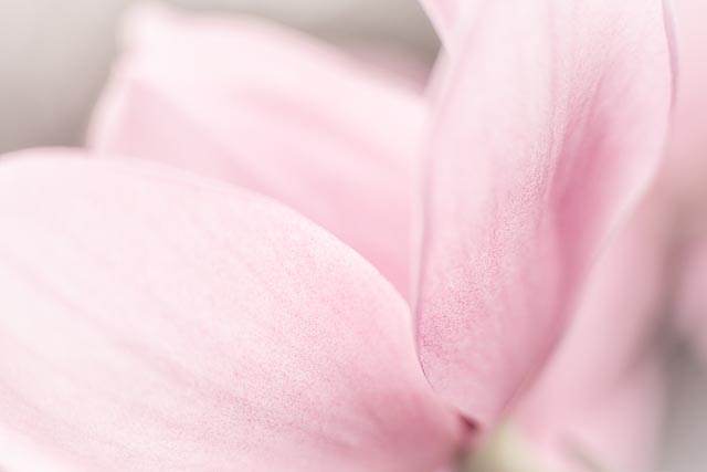 Photostream image 140