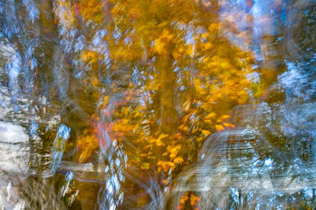 Photostream image 109