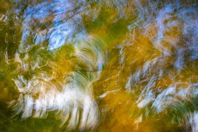 Photostream image 108