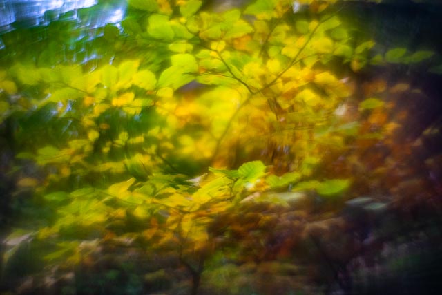 Photostream image 101