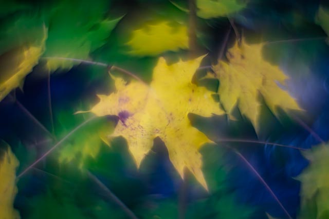 Photostream image 100